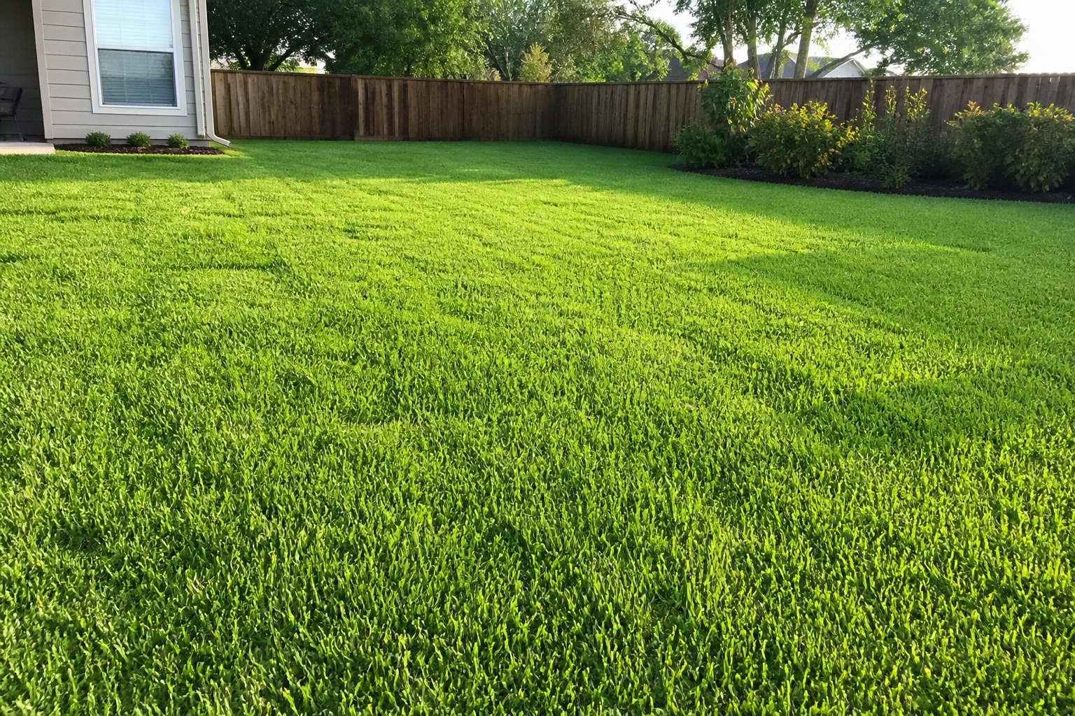 Green residential lawn after sod install